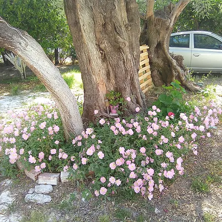 Spiros Maisonette At Vardas * Lefkada City