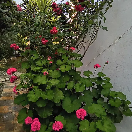 Spiros Maisonette At Vardas Apartment Lefkada City